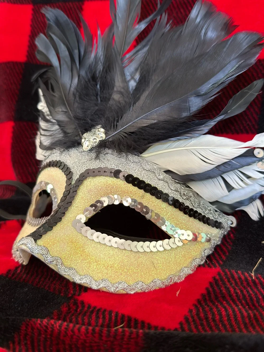 Black Feathered Masquerade Mask with Ivory Accents